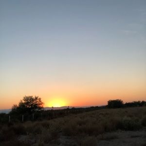 Meet your Posher, Jesse